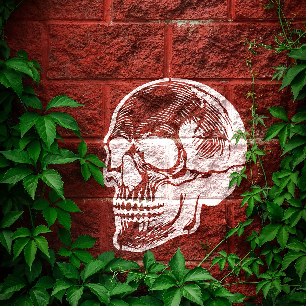 Detailed Anatomical Skull Stencil appears in distressed white across rustic red wood planks