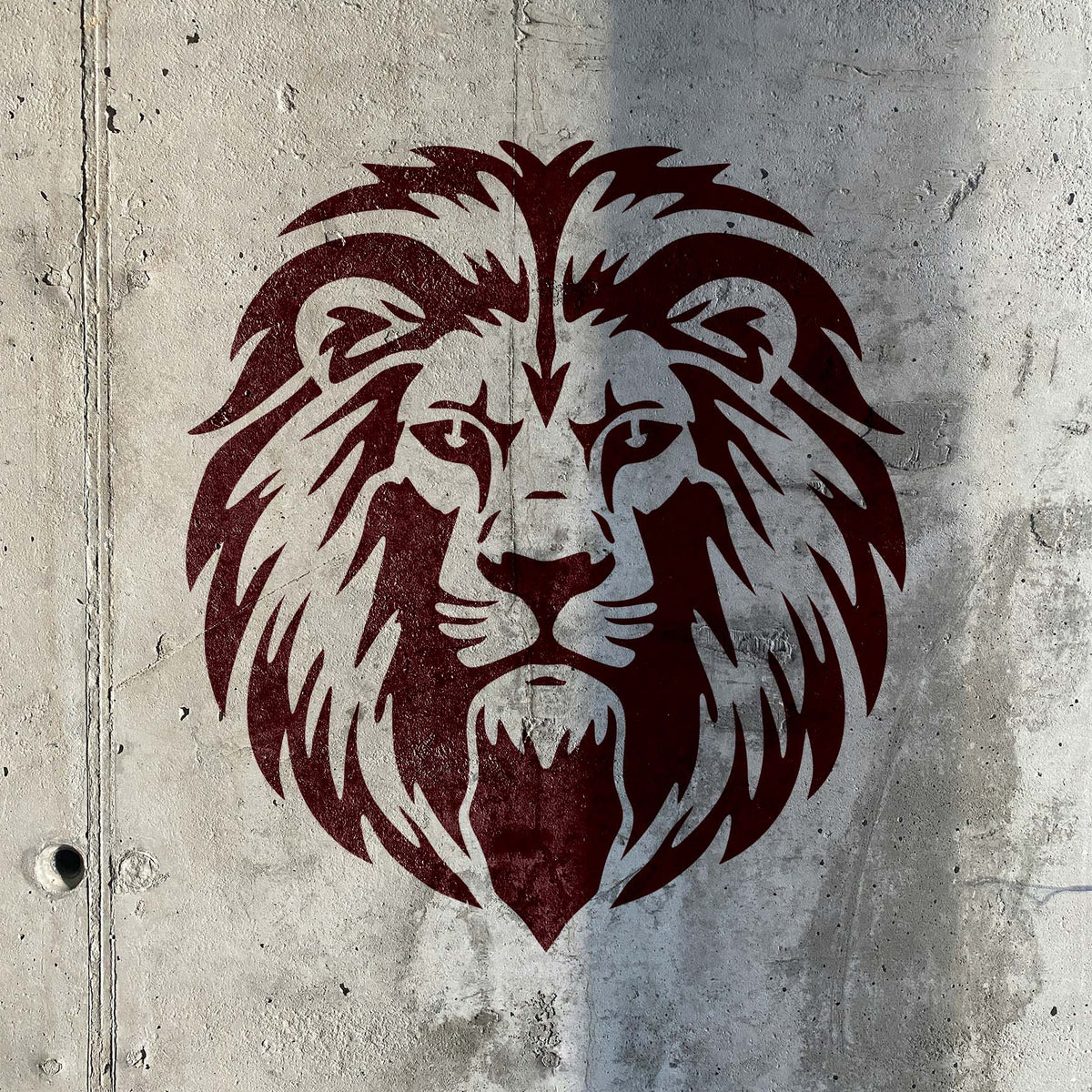 Red Regal Lion Head Stencil adds a bold mane design to the front of a cardboard box.
