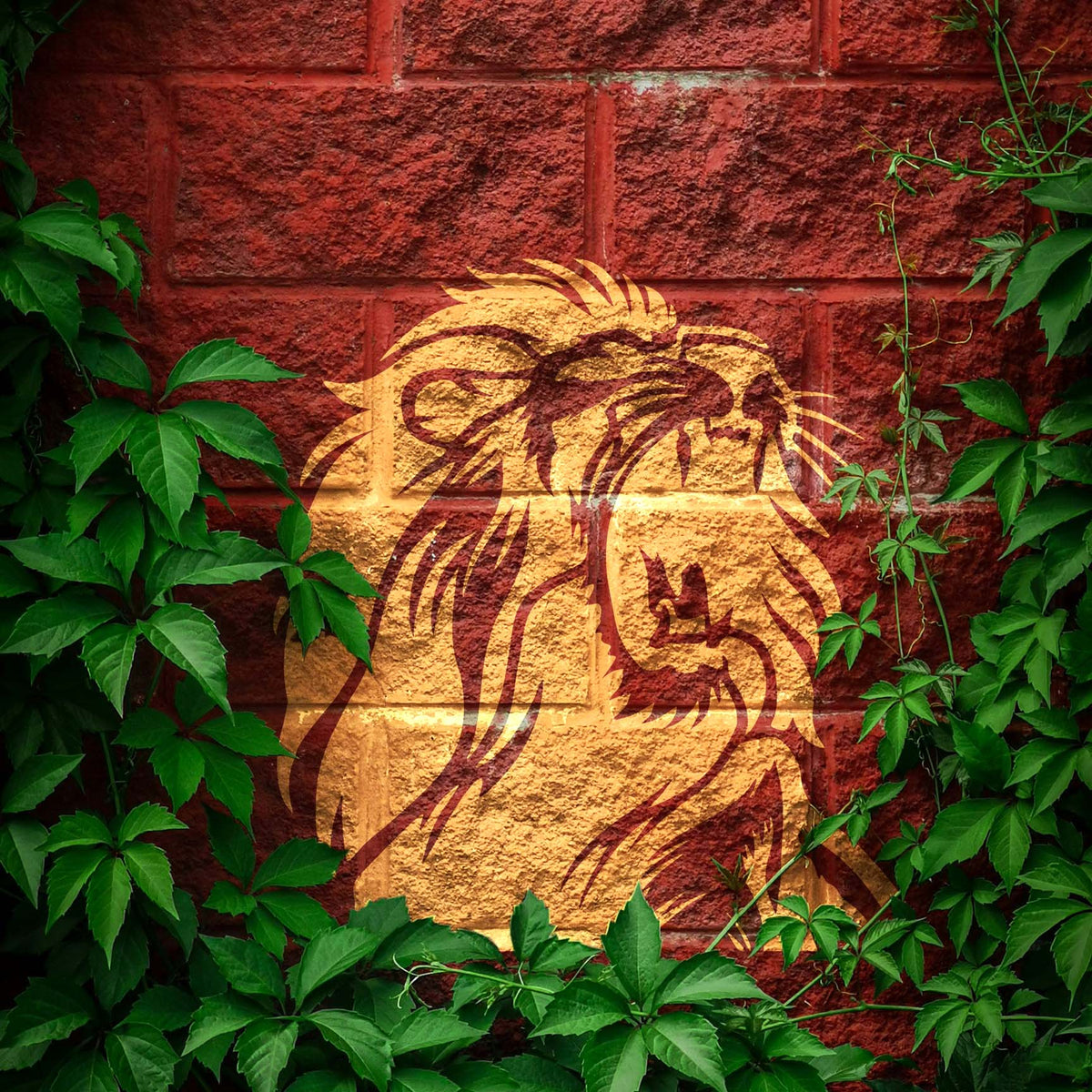 Golden Roaring Lion Head Stencil makes a fierce statement on a red brick wall surrounded by vines