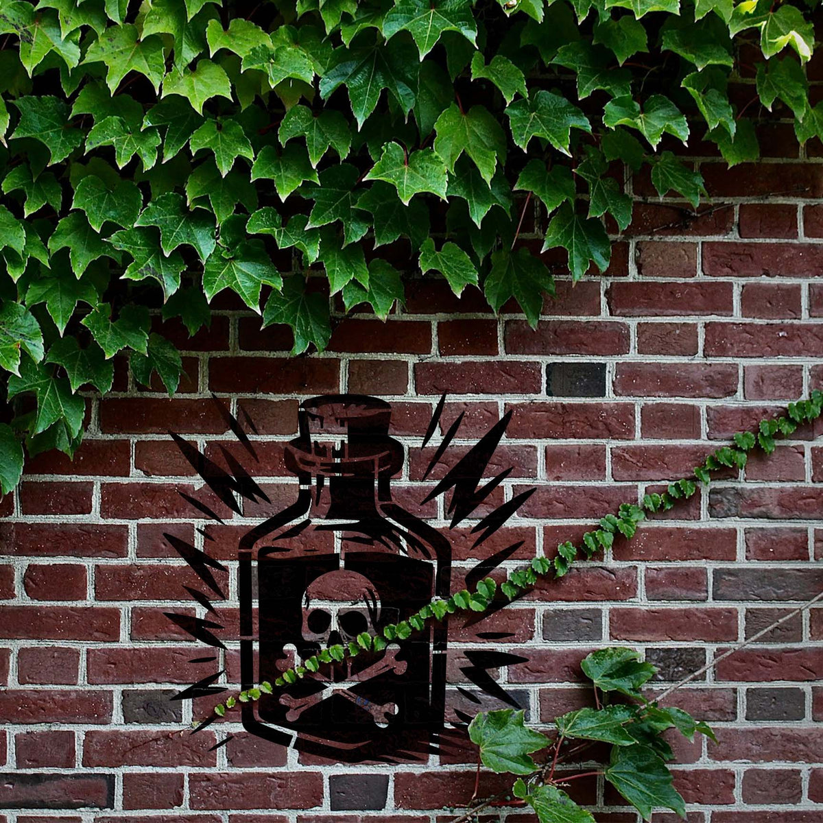 Ivy surrounds the Apothecary Skull Poison Bottle Stencil painted boldly across a brick wall
