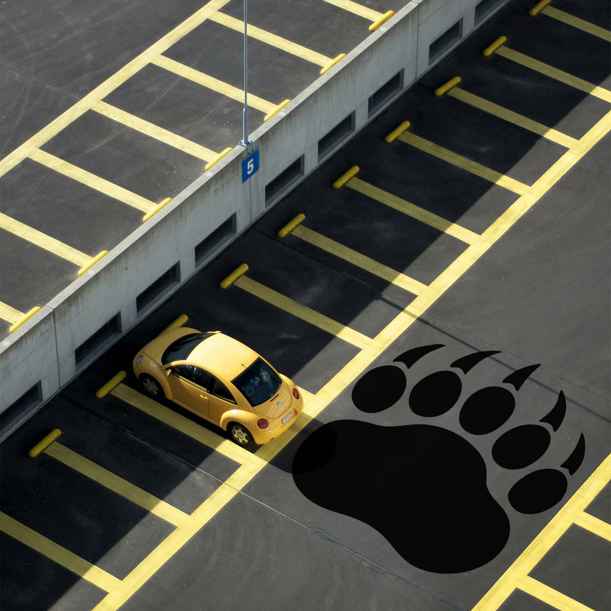 Parking lot displays the Bear Paw Print Stencil as a large black paw graphic near a yellow car.