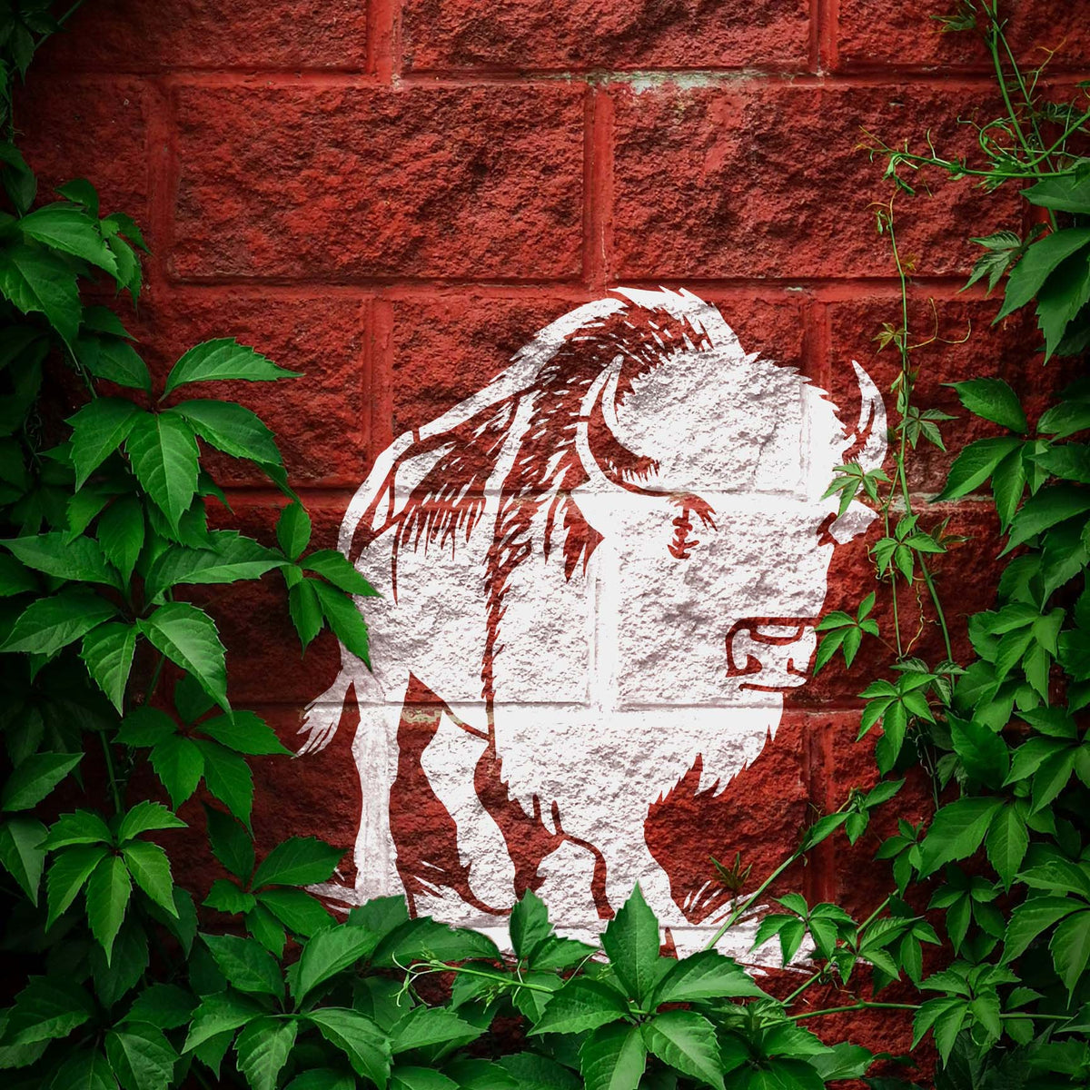 White Buffalo Walking in Plain Stencil depicts a powerful bison on a red brick wall framed by green vines.