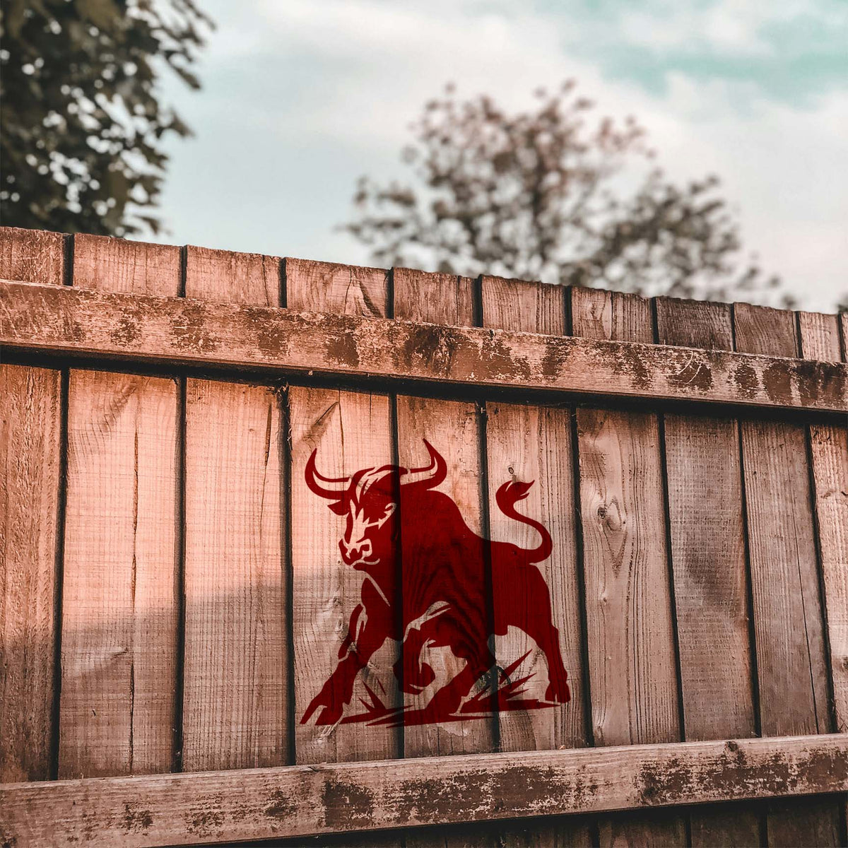 Horned Bull Stencil painted dark red on a rustic wooden fence with a charging bull design.