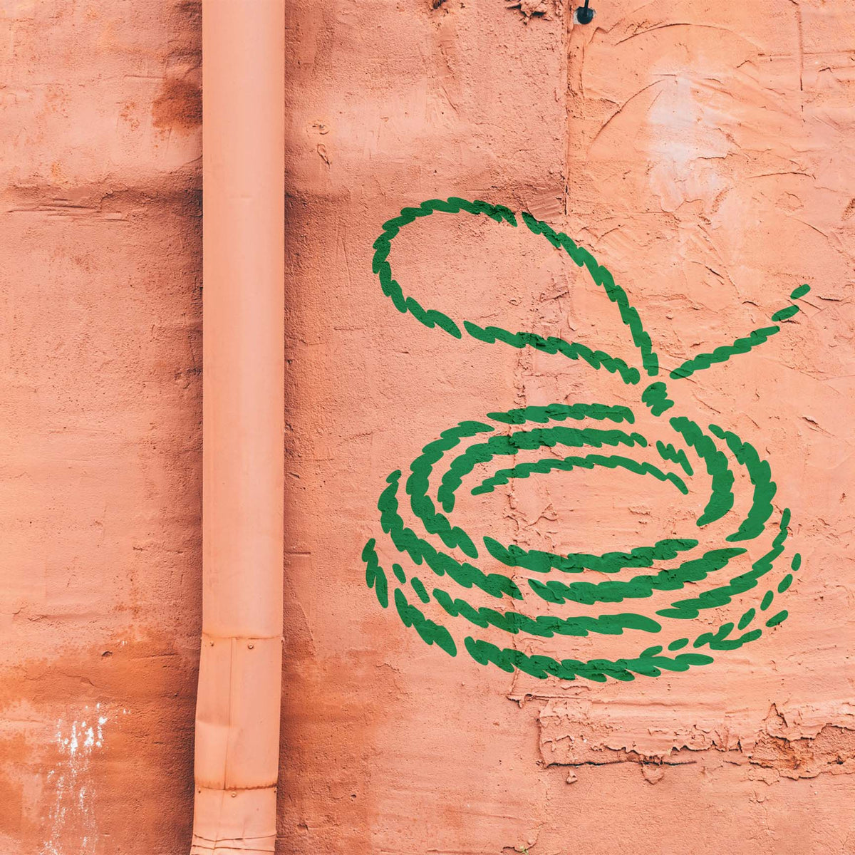 Green Coiled Lasso Stencil forms a looping rope design across a textured salmon-colored plaster wall.