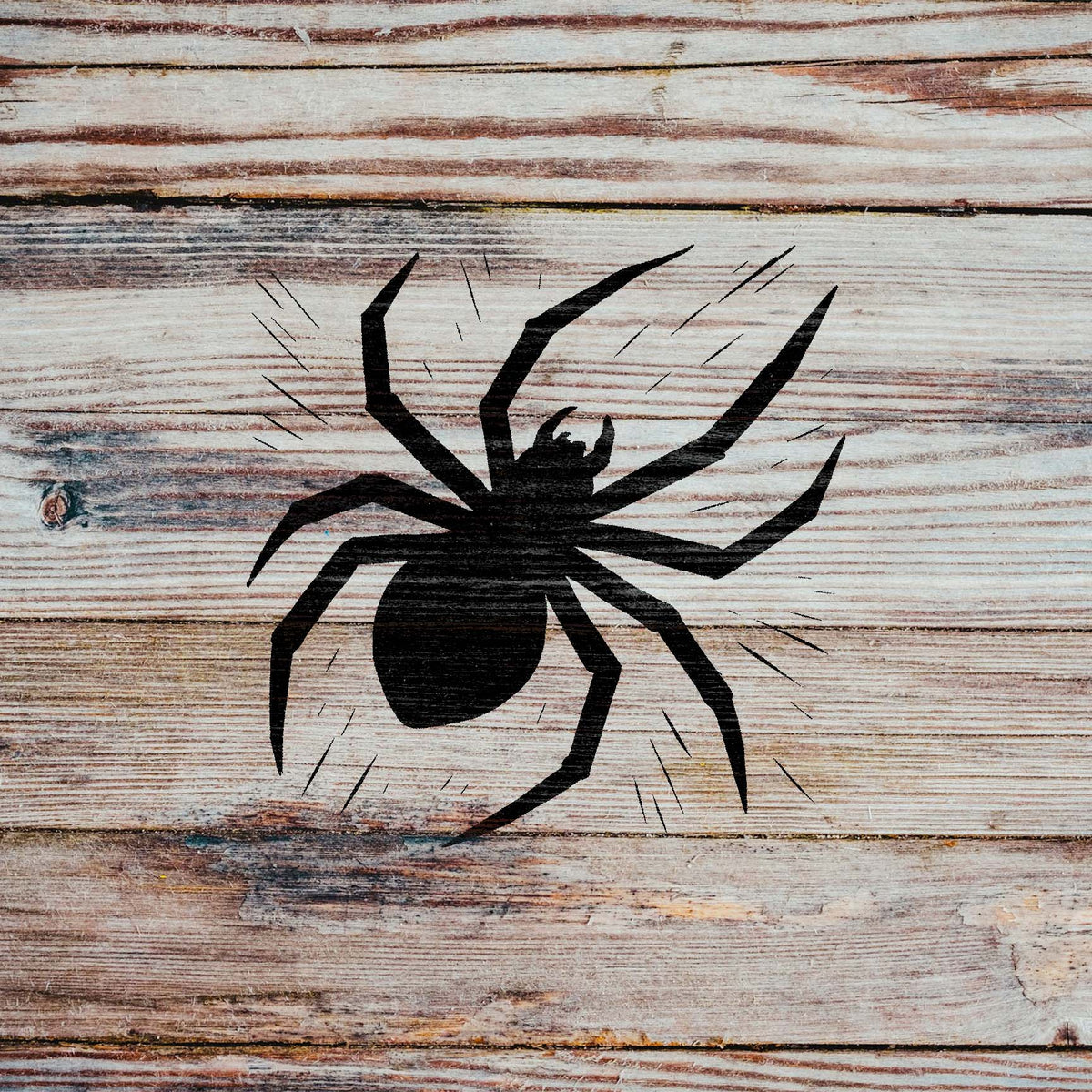 Weathered wood showcases the Creeping Spider Silhouette Stencil in bold black detail