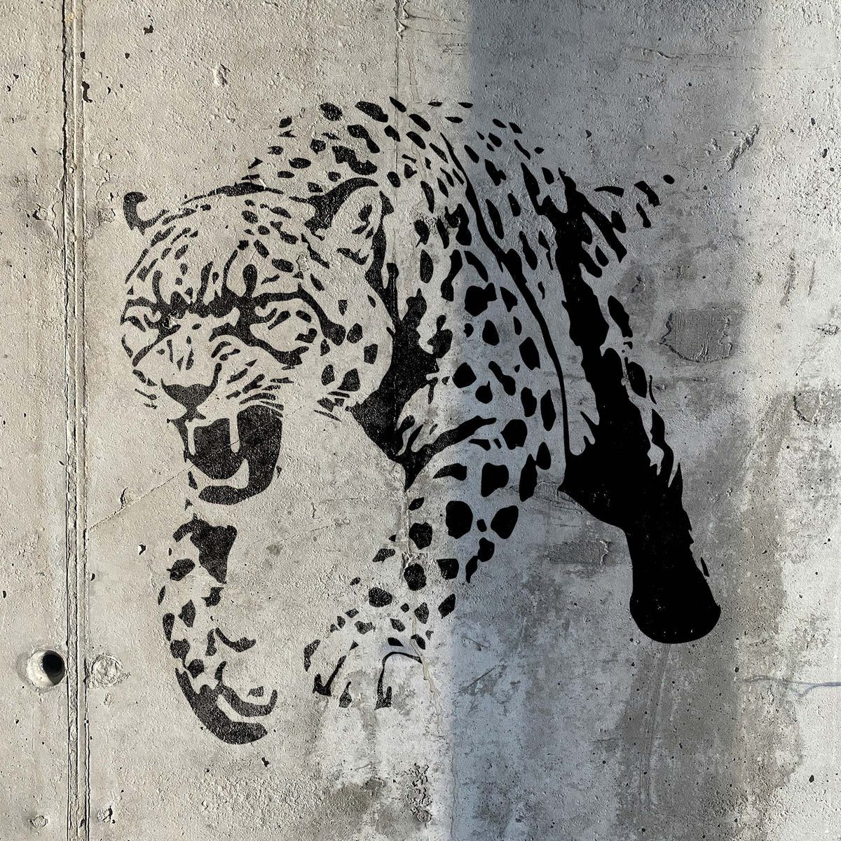Crouching Cheetah stencil painted black on a textured concrete wall