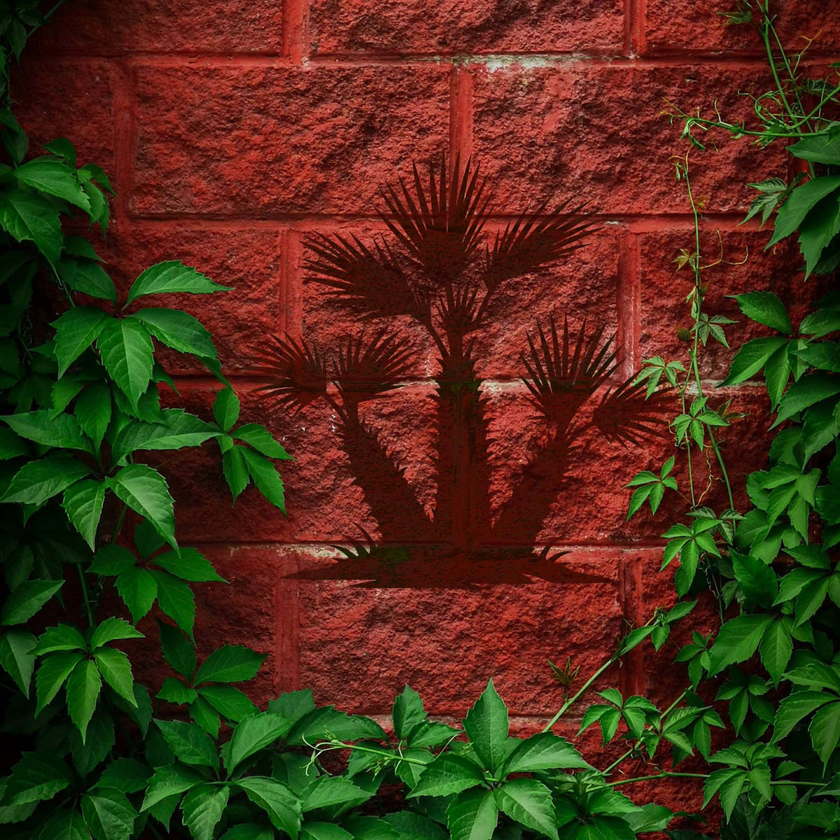 Desert Fan Palm Cluster Stencil painted on a red brick wall surrounded by climbing green vines