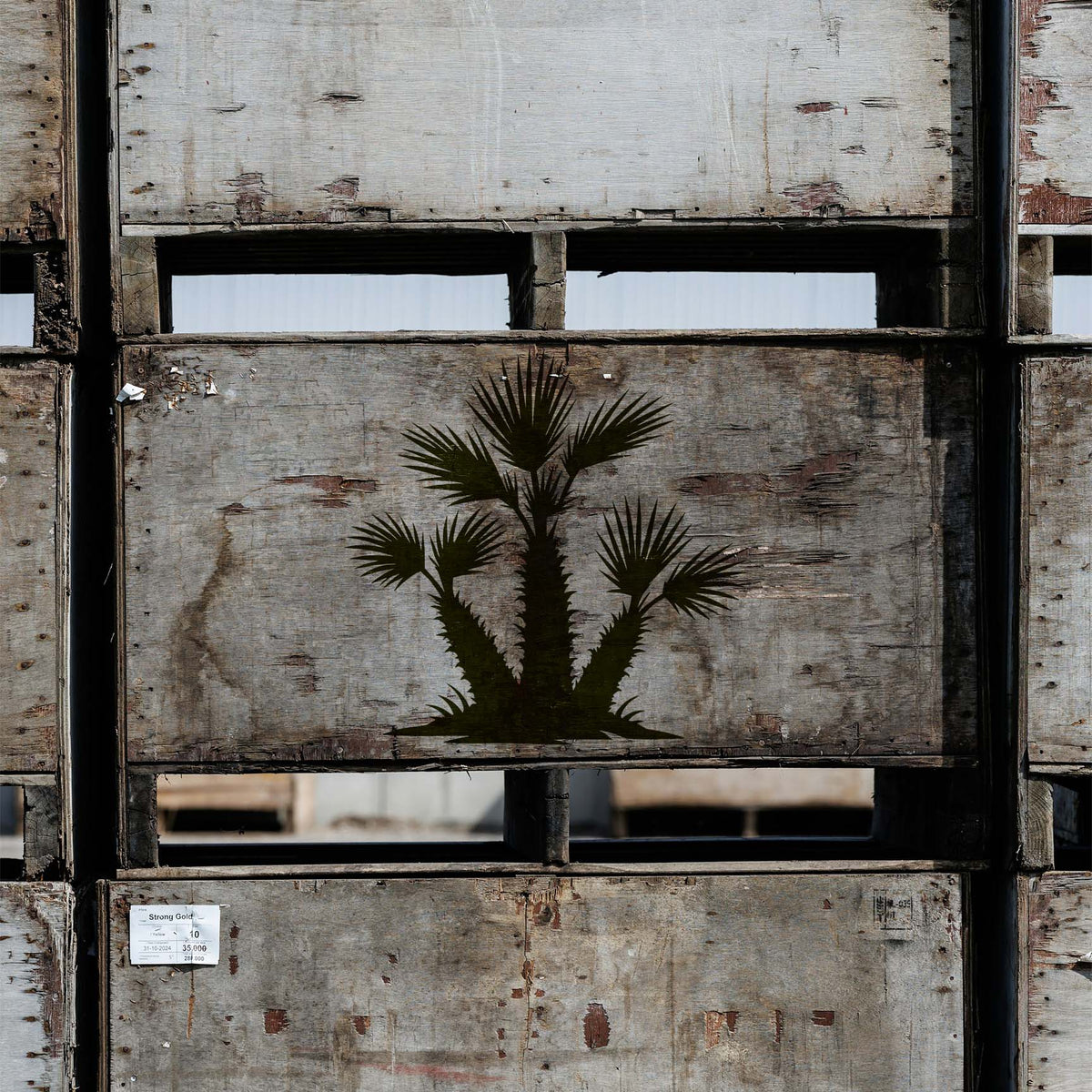 Rustic wooden crates display the Desert Fan Palm Cluster Stencil with layered spiky fronds