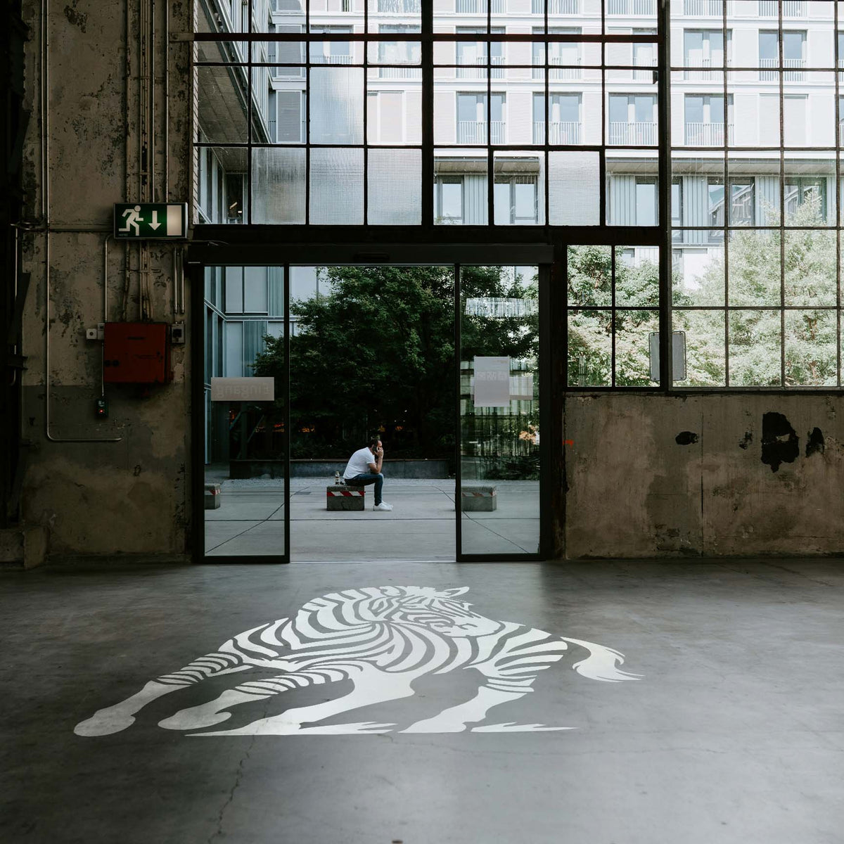 Oversized running zebra stencil painted across a modern industrial concrete floor
