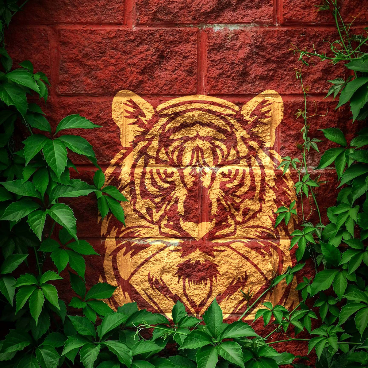 Fierce Tiger Portrait stencil painted on a red brick wall
