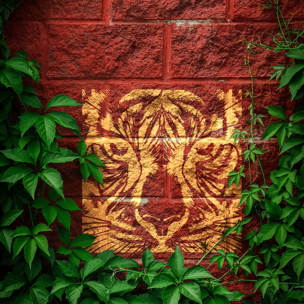 Intense Tiger Face stencil painted gold on a red brick wall