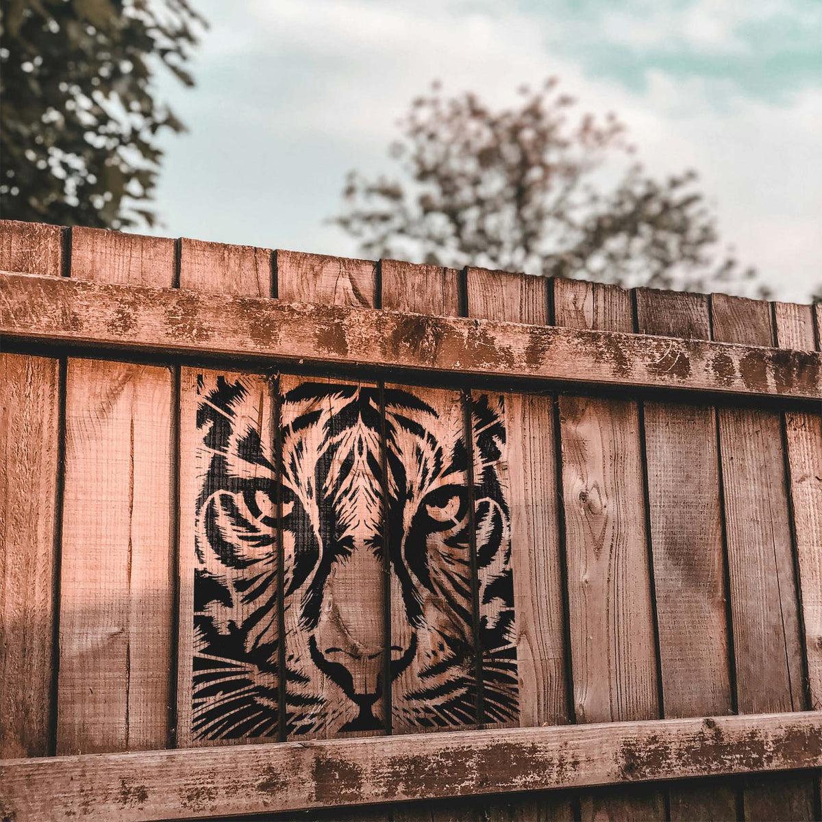 Intense Tiger Face stencil painted black on a rustic wooden fence