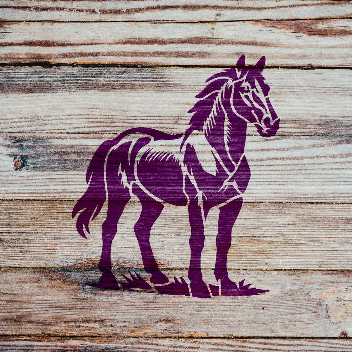 Rustic wood showcases the Majestic Standing Horse Stencil with a detailed purple horse silhouette.
