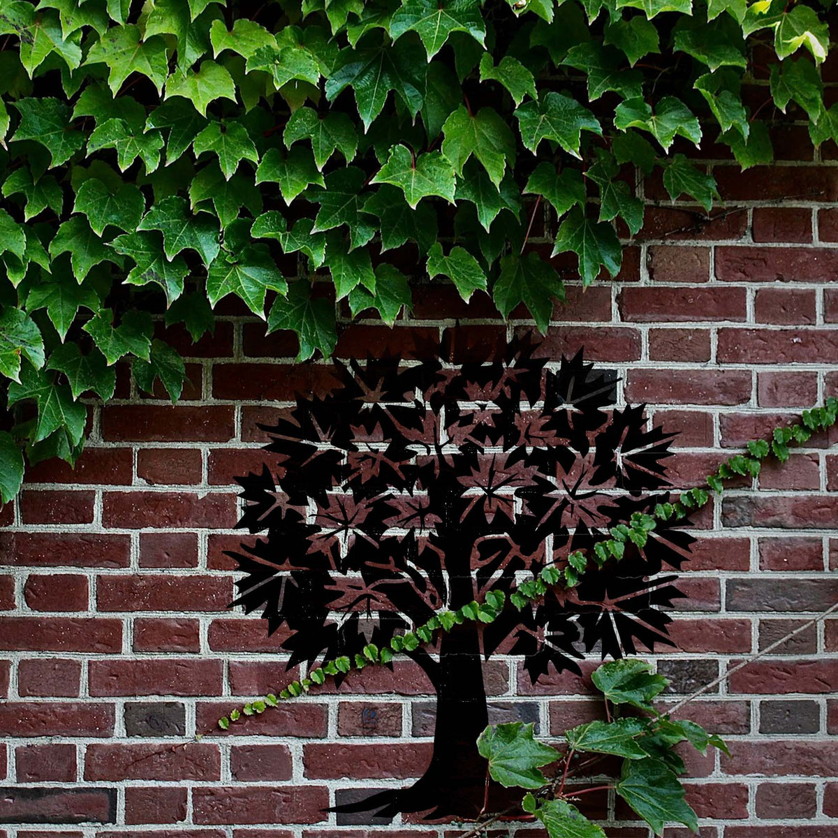 Maple Tree stencil painted black across an ivy-covered brick wall