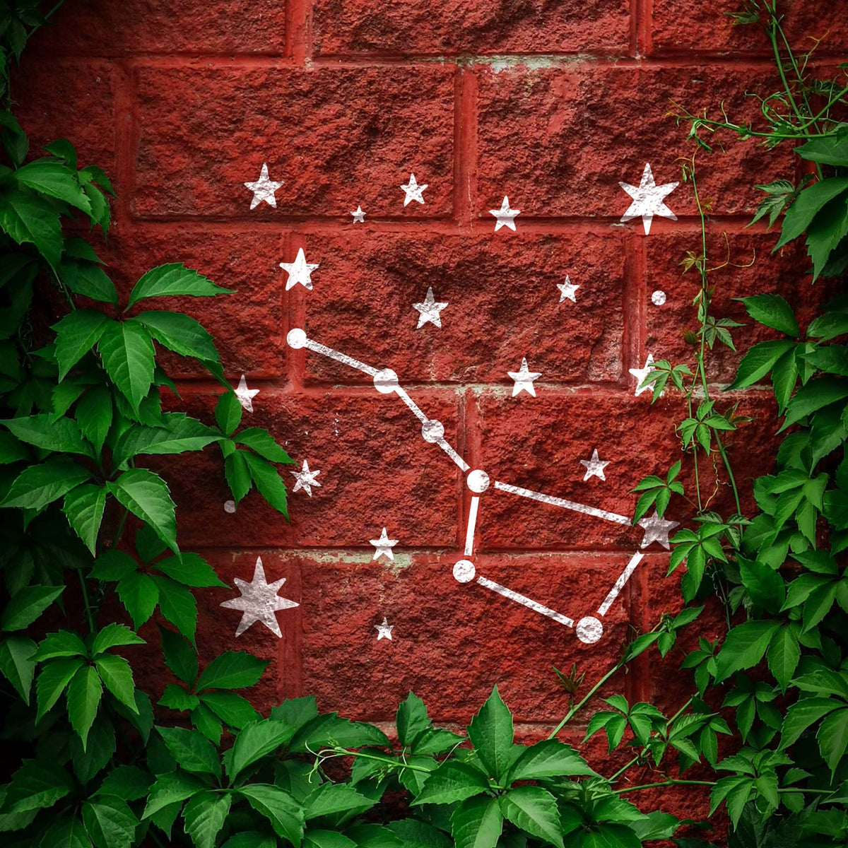 Northern Star Constellation Stencil shines in white across a red brick wall surrounded by green vines