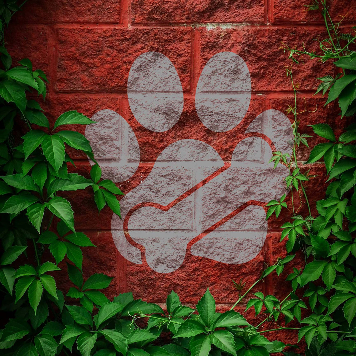 Paw Print with Bone Stencil appears in silver on a red brick wall framed by green vines
