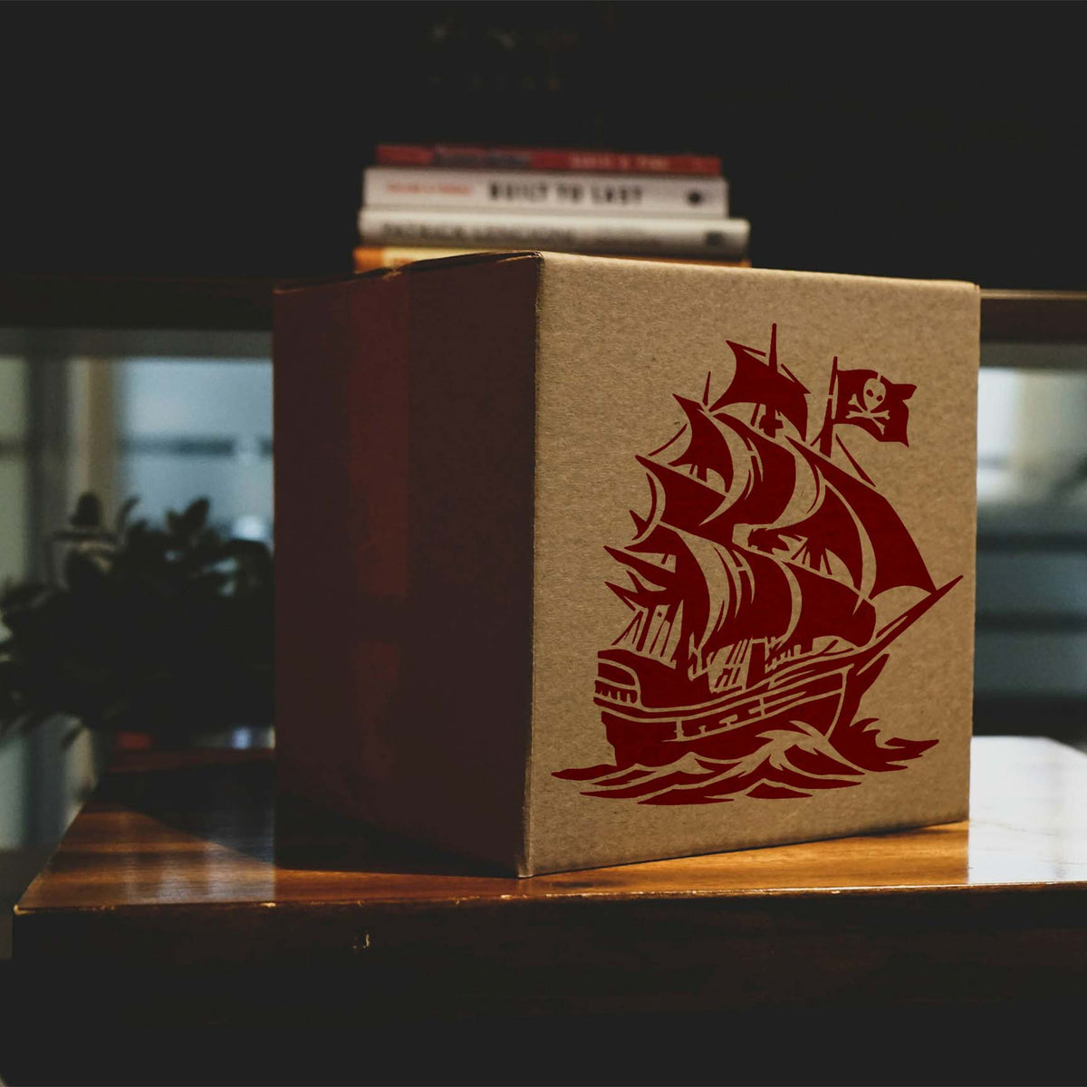 Skull Flag Pirate Ship stencil painted red on cardboard box