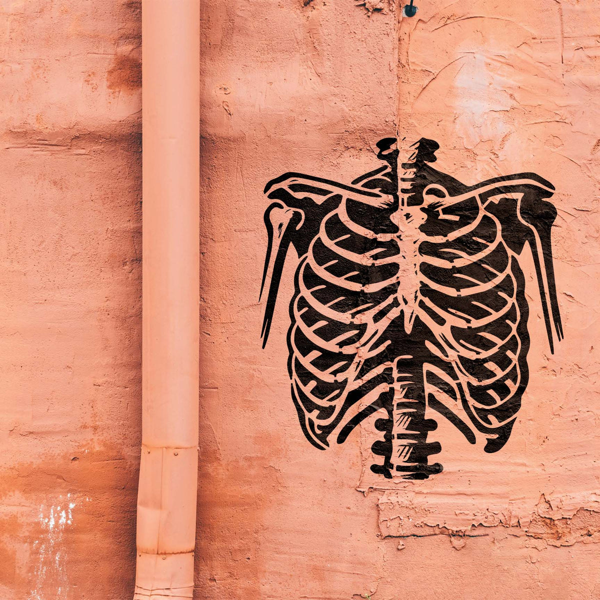 Bold Skeleton Ribcage Stencil appears in black across a weathered salmon-colored wall