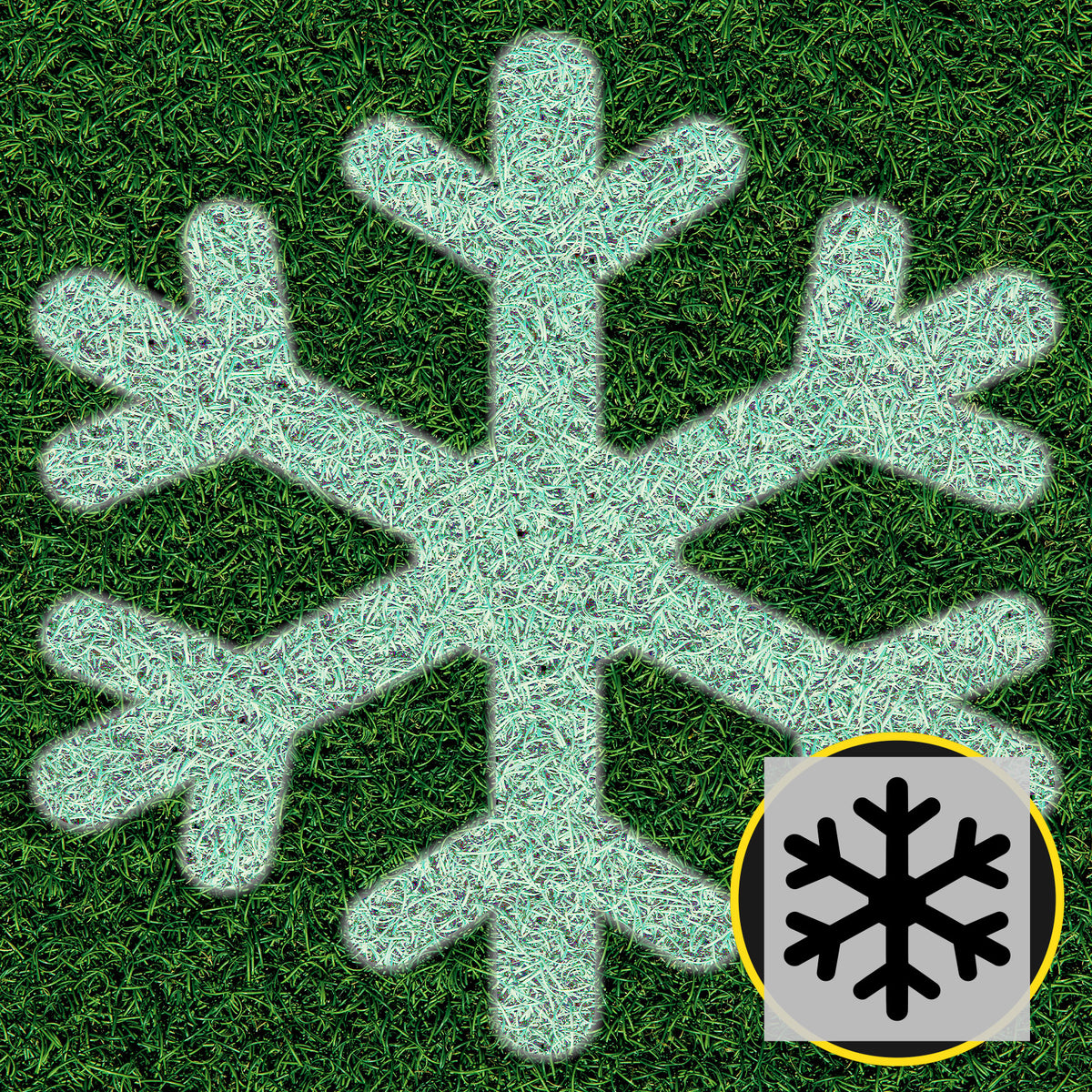 Snowflake lawn stencil painted white on green grass