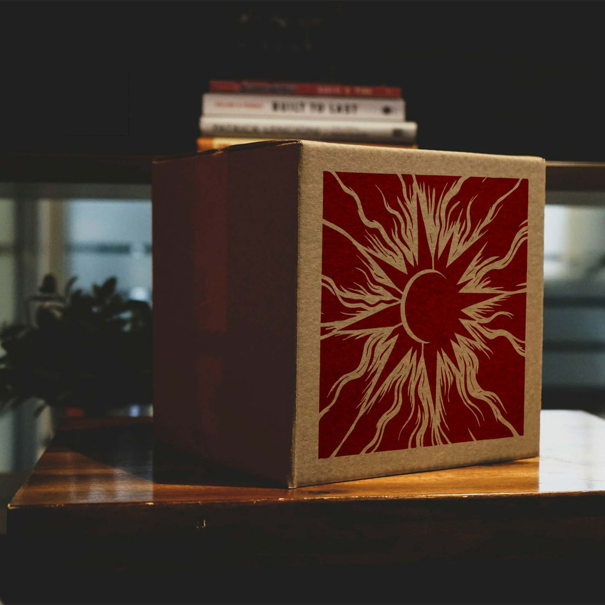 Solar Eclipse Radiance Stencil glows in deep red across the front of a kraft cardboard box