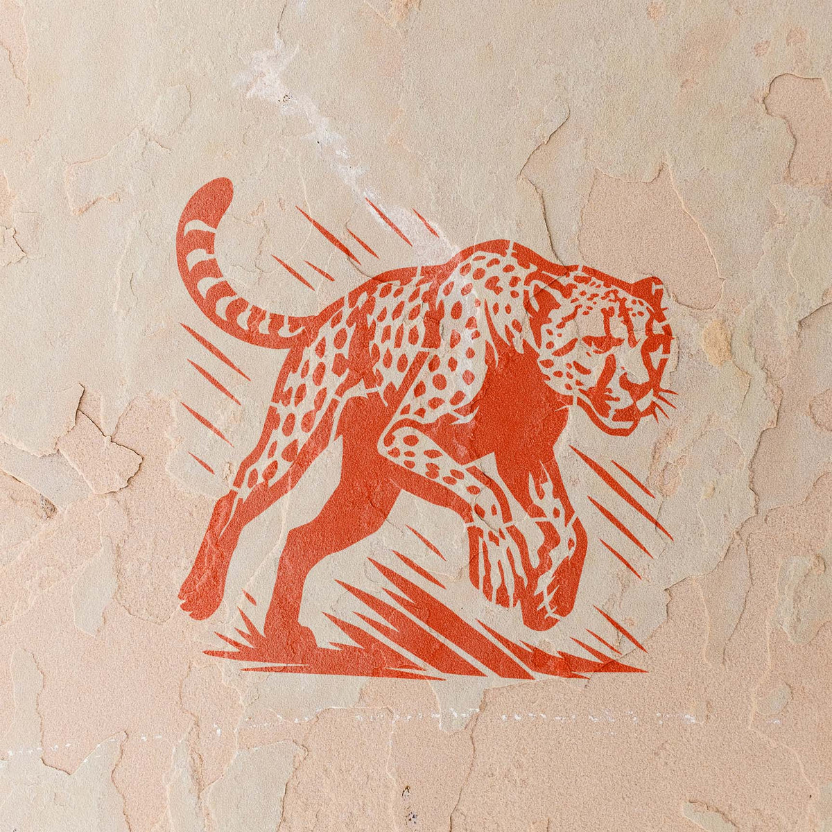 Dynamic sprinting cheetah stencil sweeping across a textured stucco wall