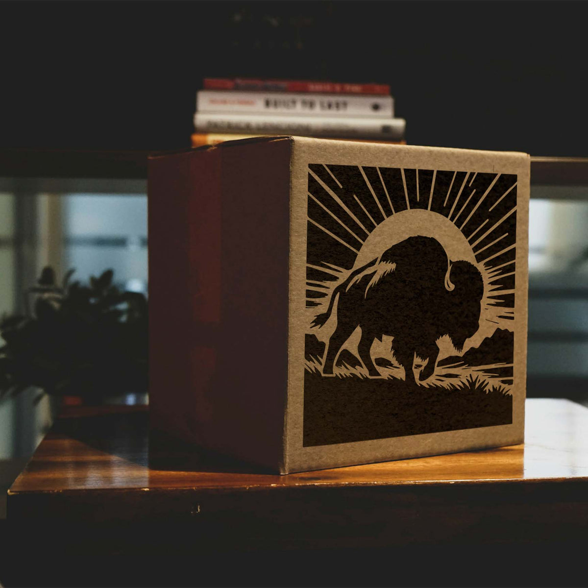 A bold Sunrise Buffalo Silhouette Stencil shows a roaming bison beneath radiant sunbeams on a cardboard box.