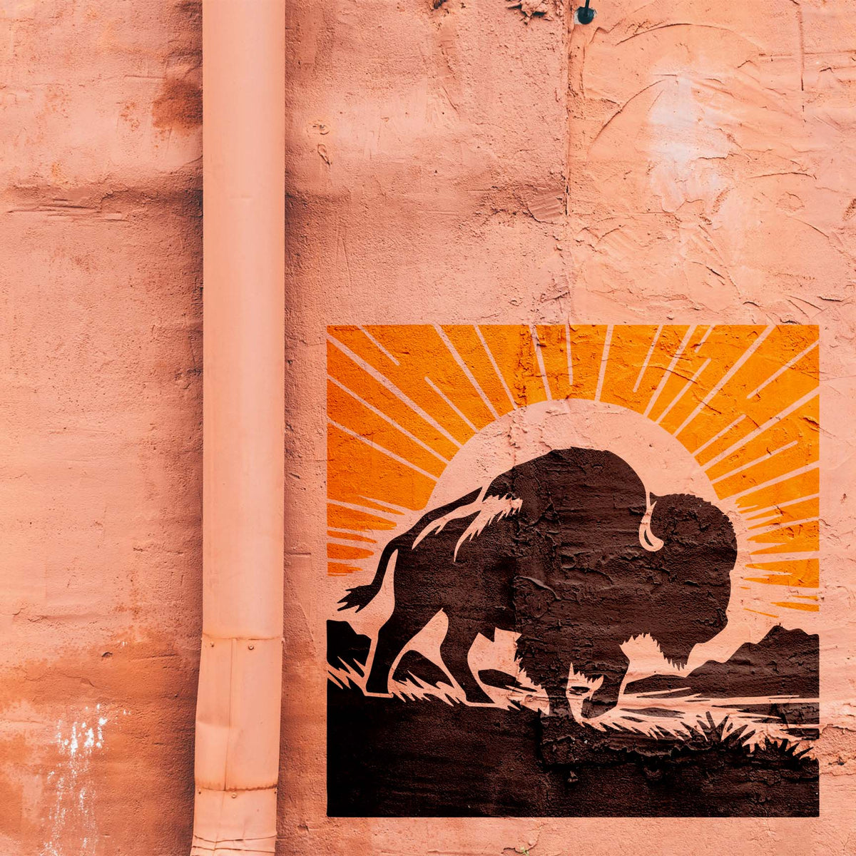 On a peach wall, Sunrise Buffalo Silhouette Stencil pairs a grazing buffalo with bold orange sunrays