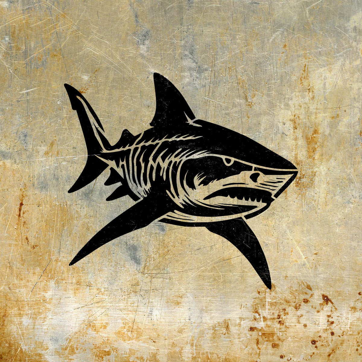 Bold Tiger Shark Stencil painted in black across a scratched industrial metal surface