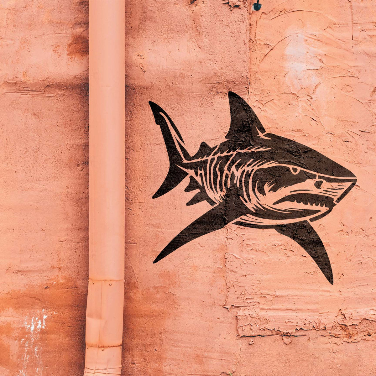 Tiger Shark Stencil stands out in black against a textured salmon-colored exterior wall