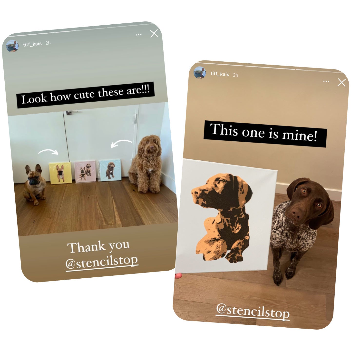 Custom Stencilled Dog Canvases