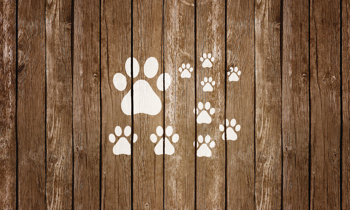 Paw prints stencil on wood