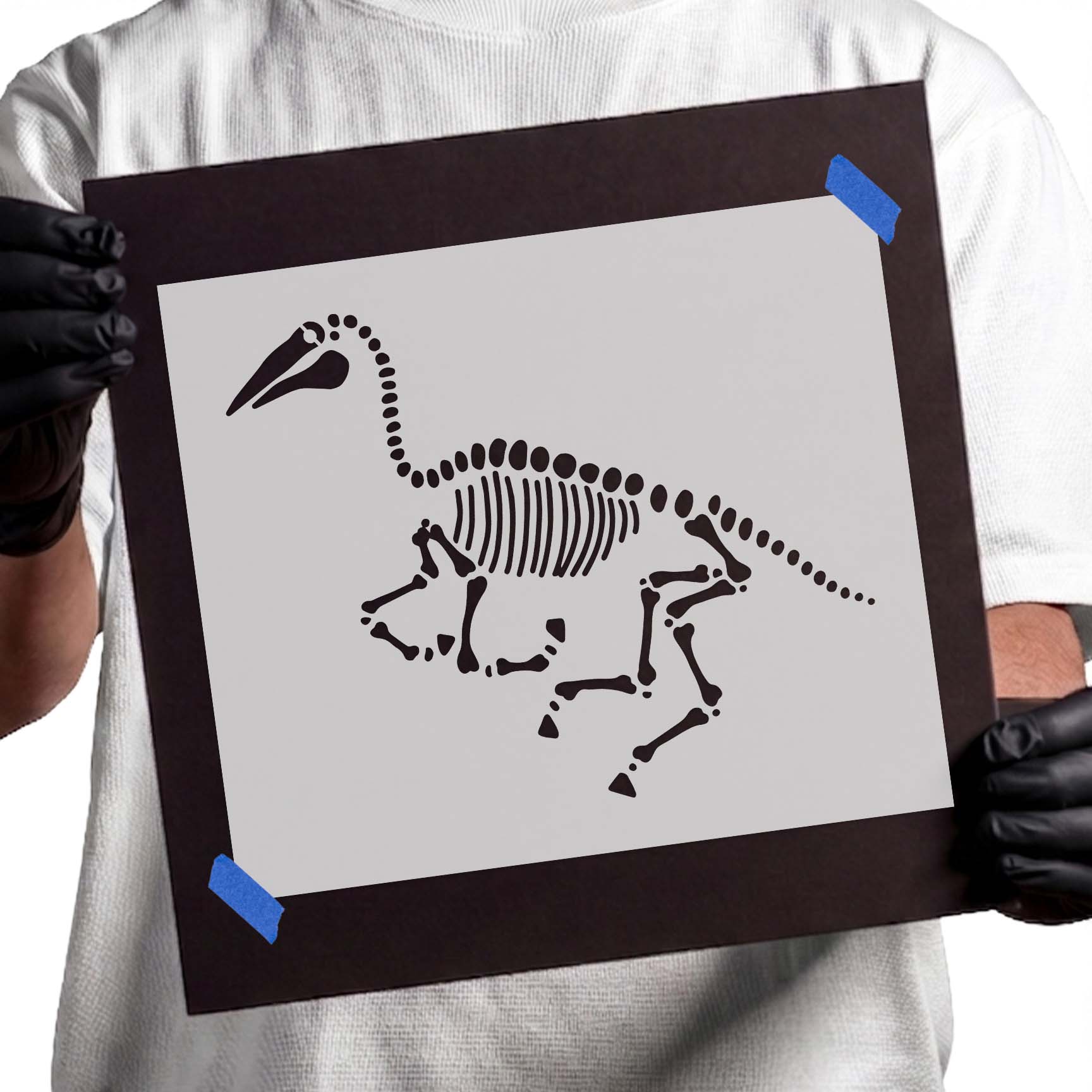 Hoofed animal skeleton fossil stencil with long neck and tail