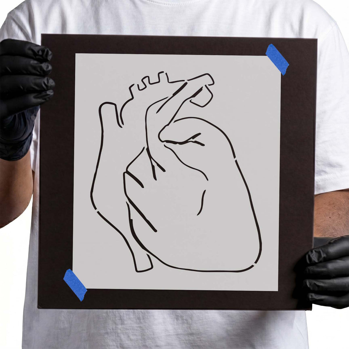 Human heart stencil with anatomical outline and visible vessel details