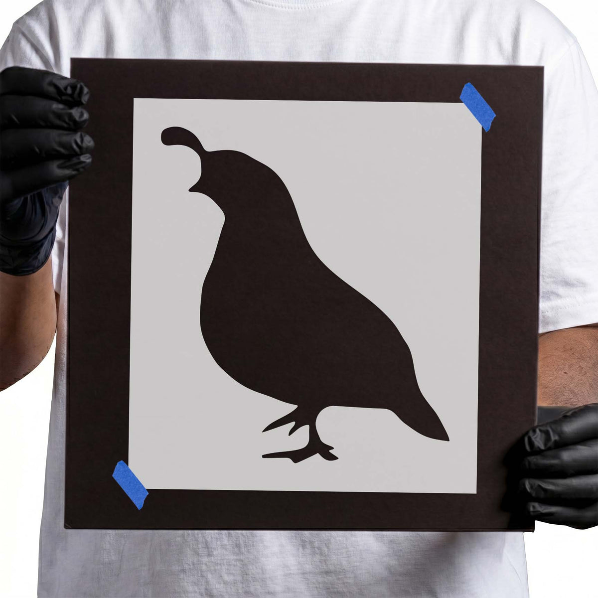 Quail stencil with curved head plume and standing bird silhouette