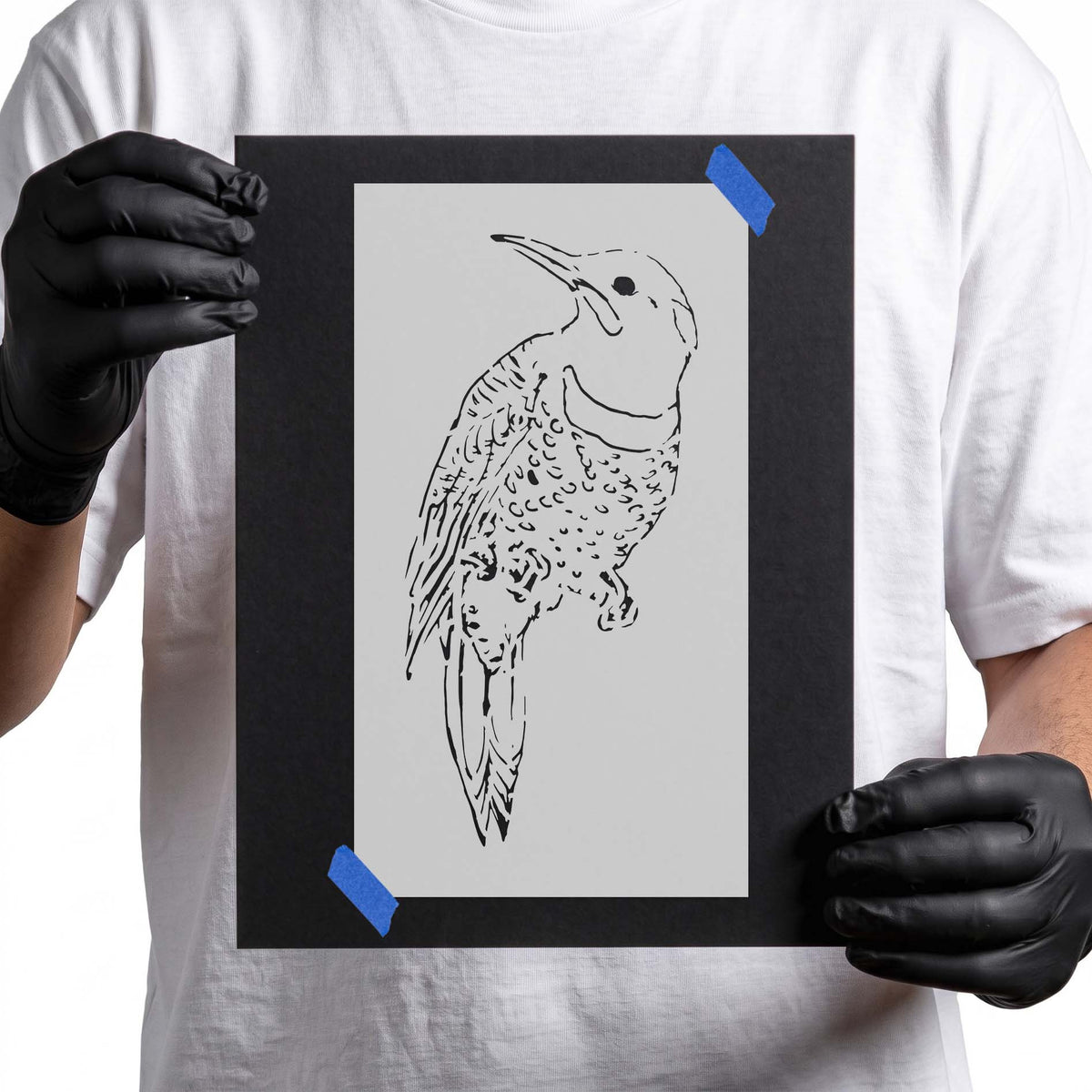 Woodpecker stencil with pointed beak, patterned feathers, and perched feet