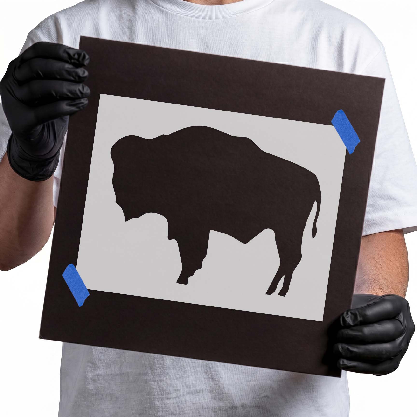 Wyoming State Flag Buffalo Stencil