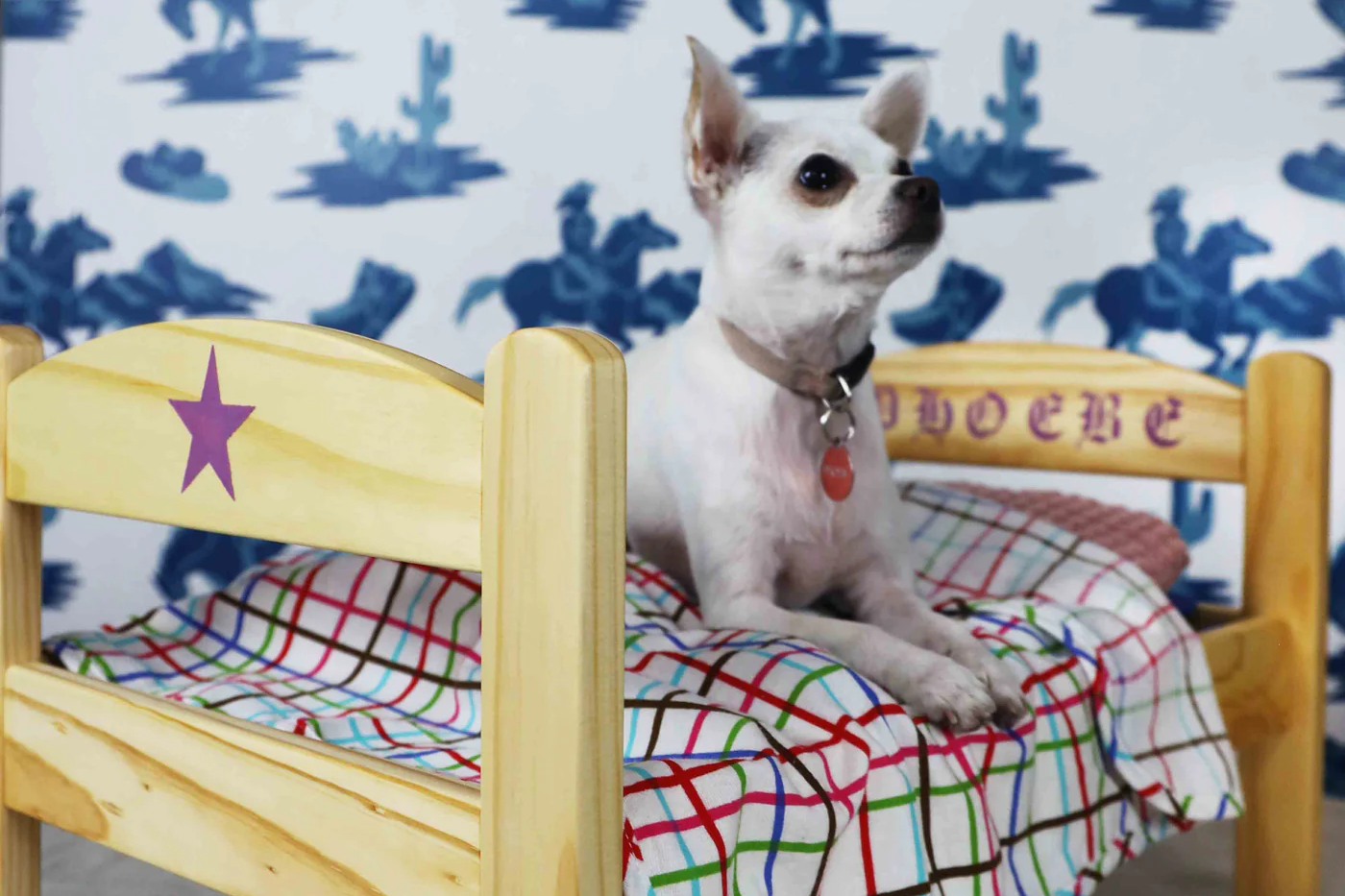 STENCIL STOP | Create a Custom Dog Bed with Stencils