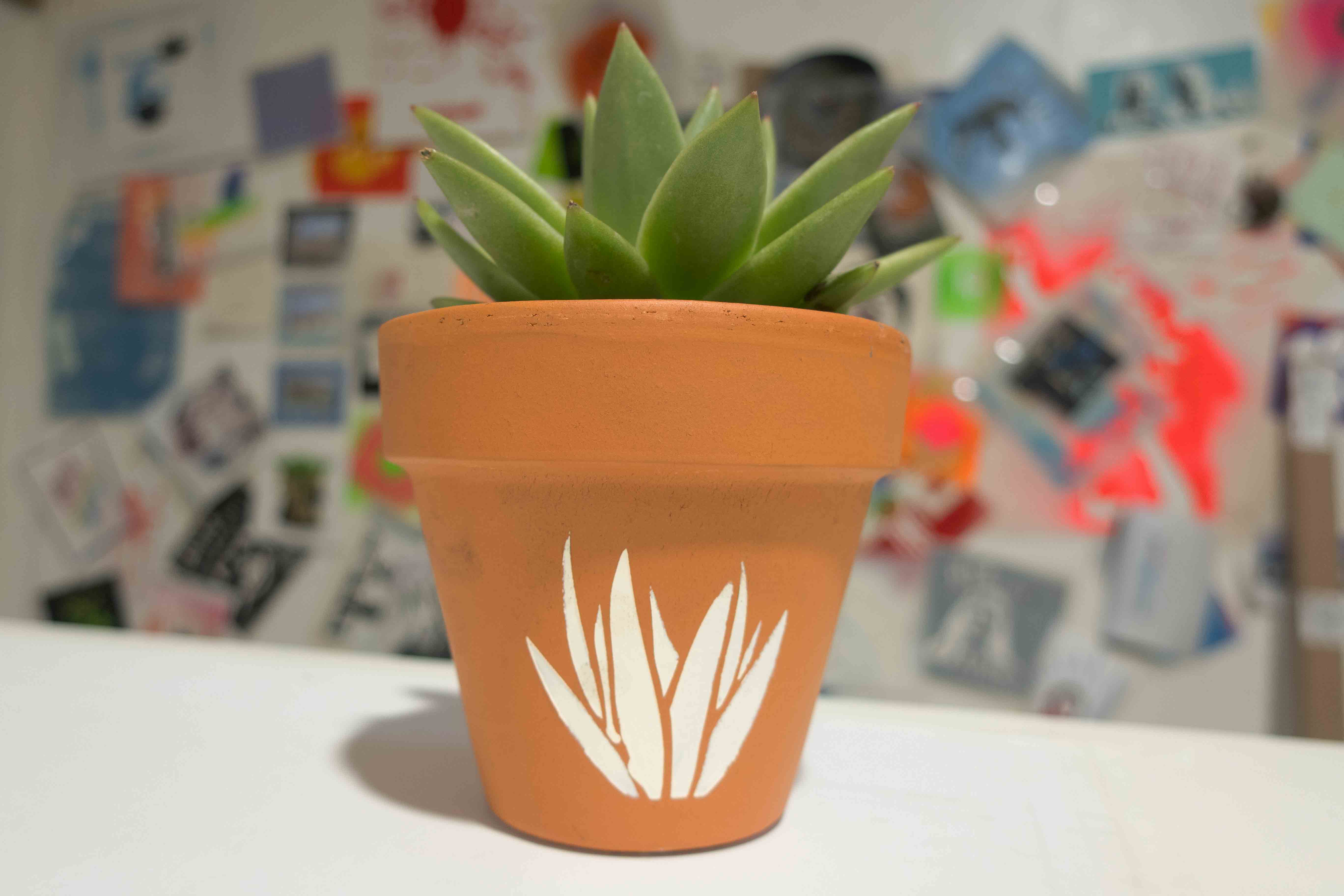 Custom Succulent Stencil Pot