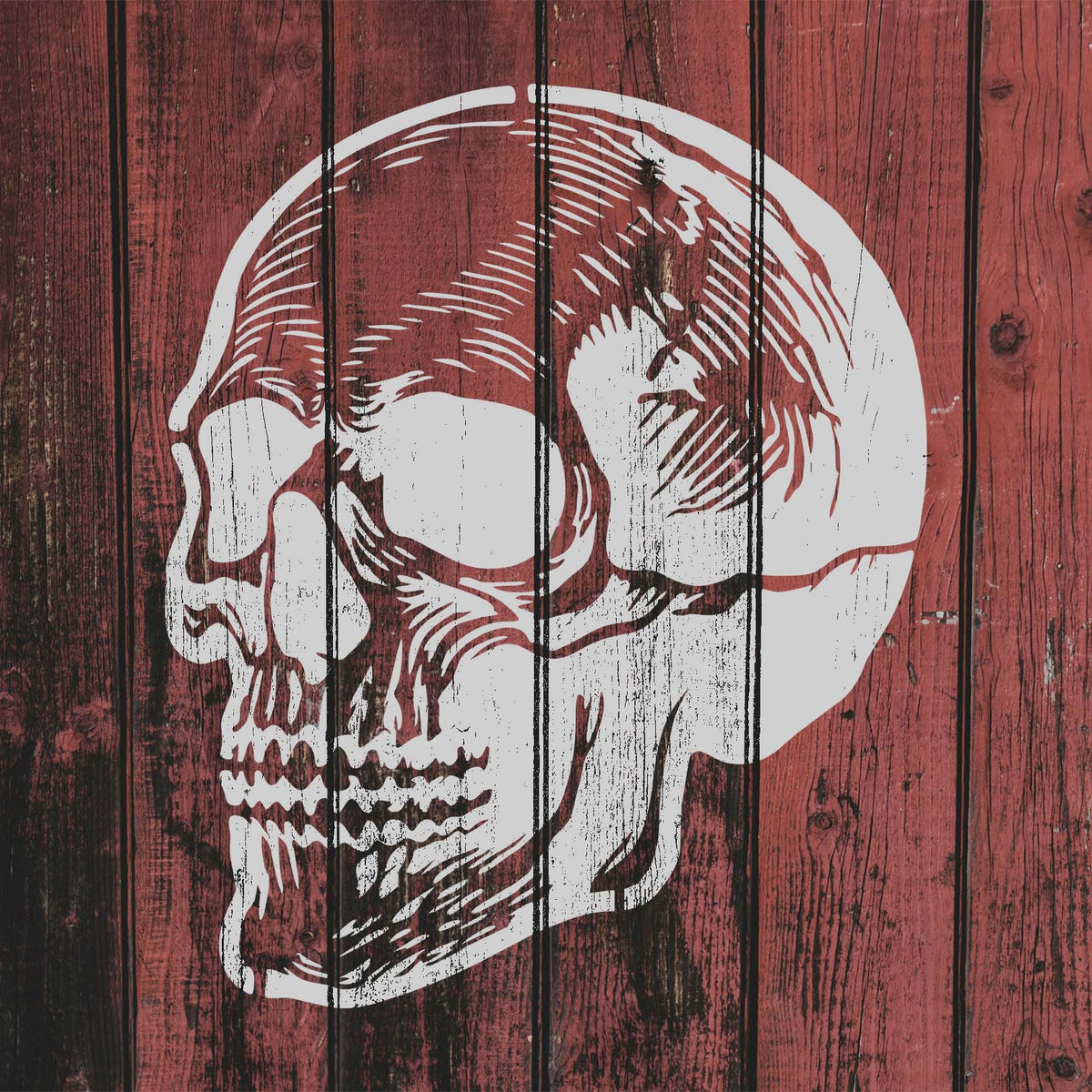 Detailed Anatomical Skull Stencil painted white on a red brick wall framed by green vines