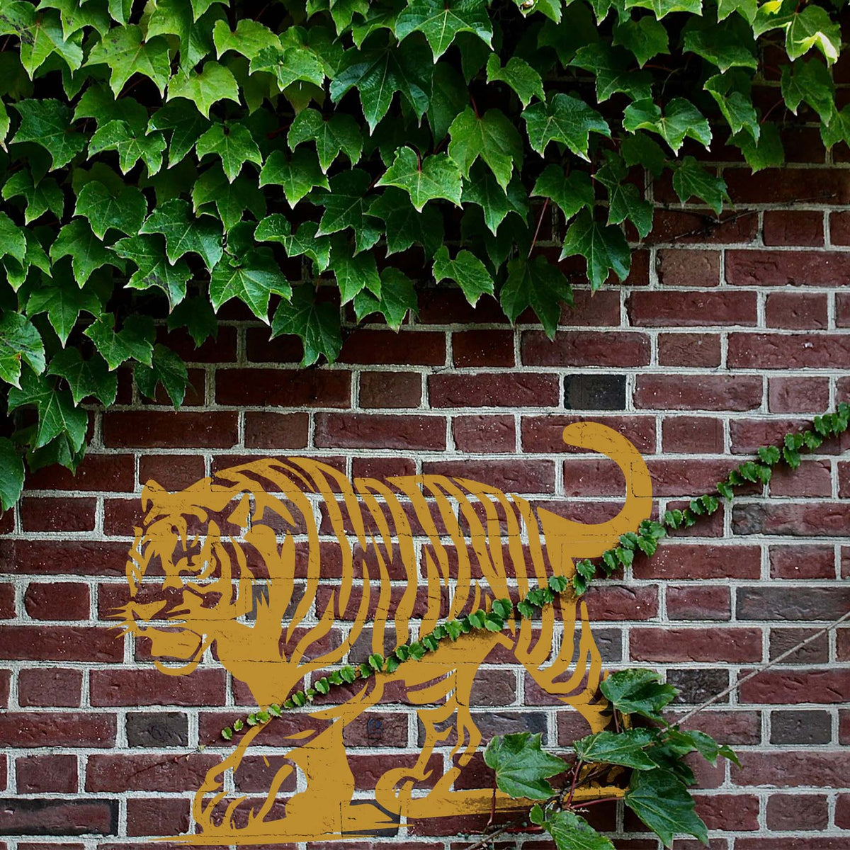 Golden Majestic Walking Tiger Stencil prowls across an ivy-covered brick wall