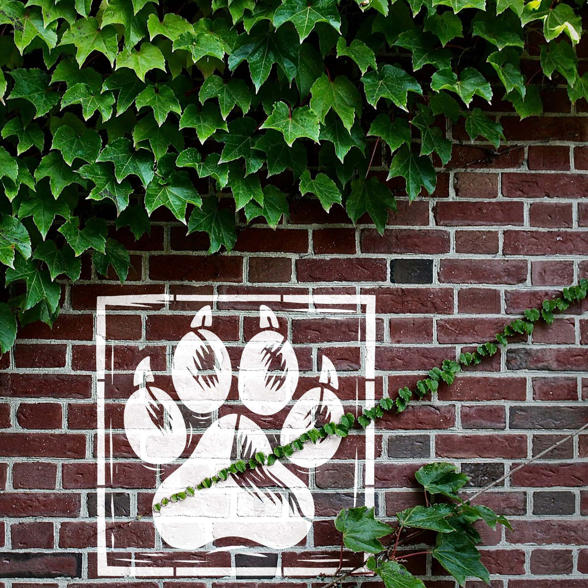Rustic Bear Paw Print Frame Stencil painted white on an ivy-covered brick wall