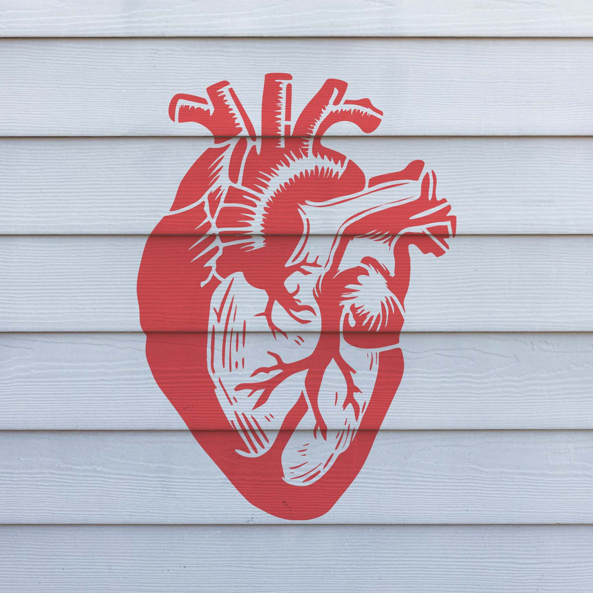 Across white exterior siding, the Anatomical Heart Stencil stands out in vivid red detail