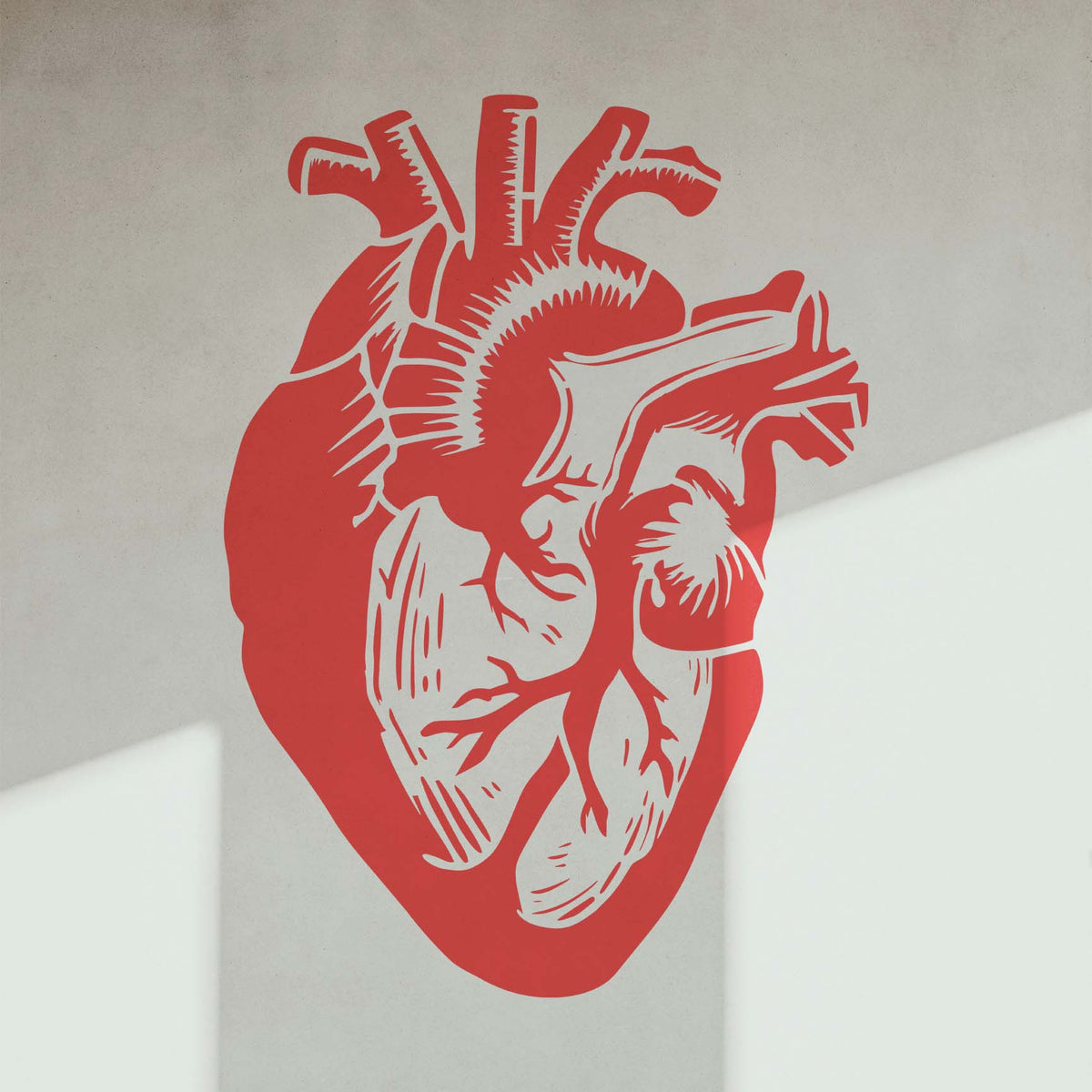 Anatomical Heart Stencil creates a striking red heart design on a modern light gray wall