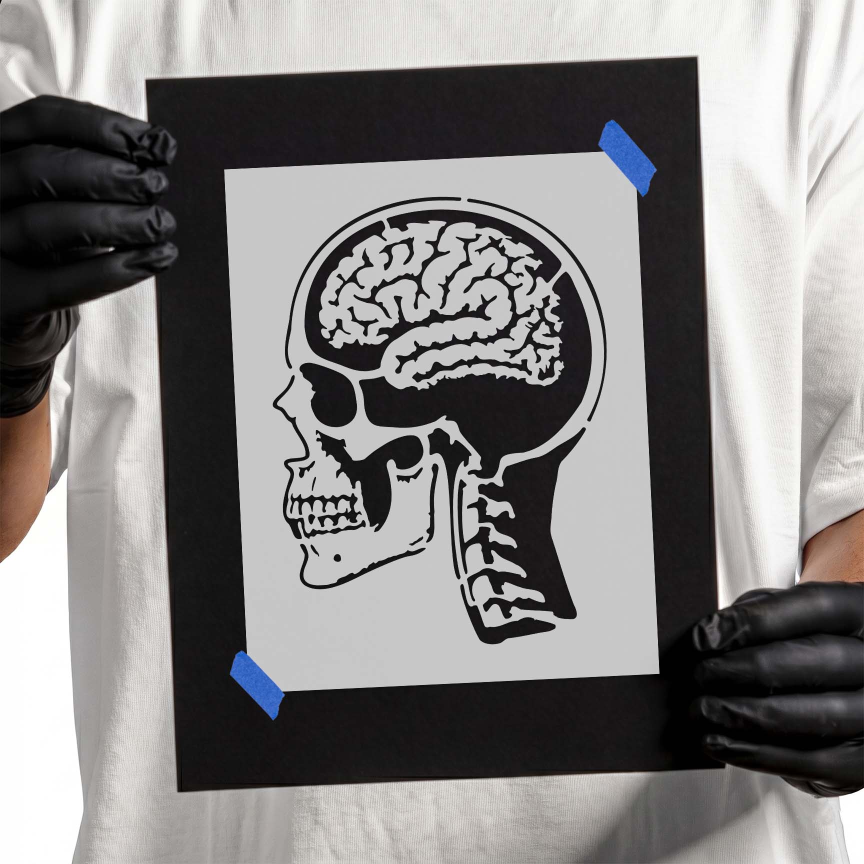 Anatomical skull and brain stencil showing a side-profile human skull with exposed brain and spine
