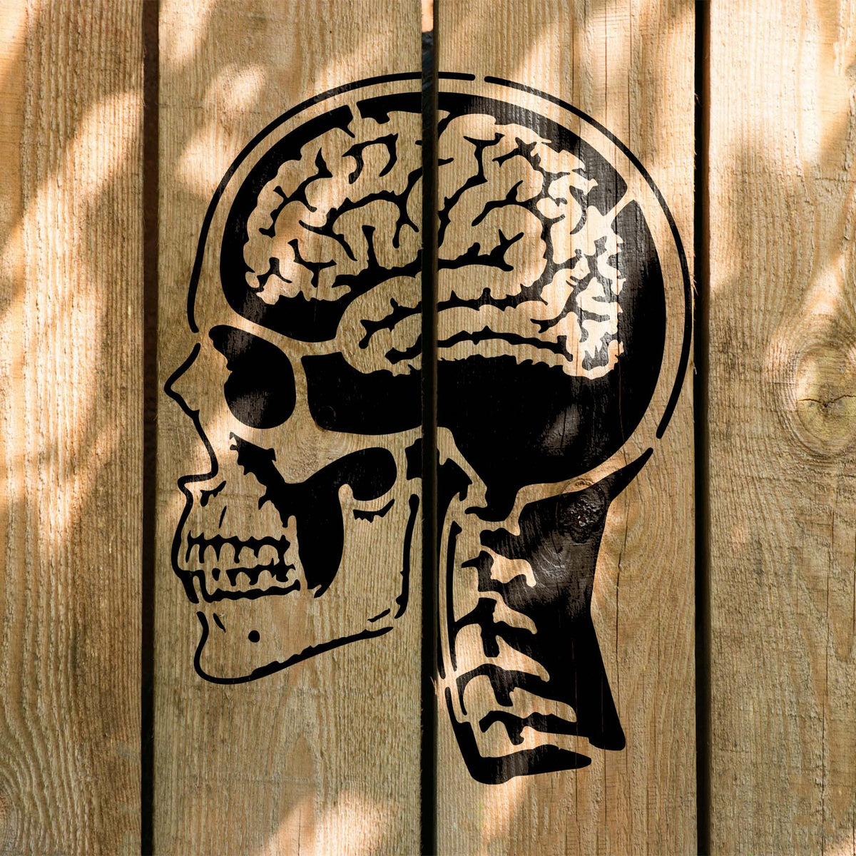 Black Anatomical Skull & Brain Stencil reveals detailed skeletal anatomy across rustic wooden boards
