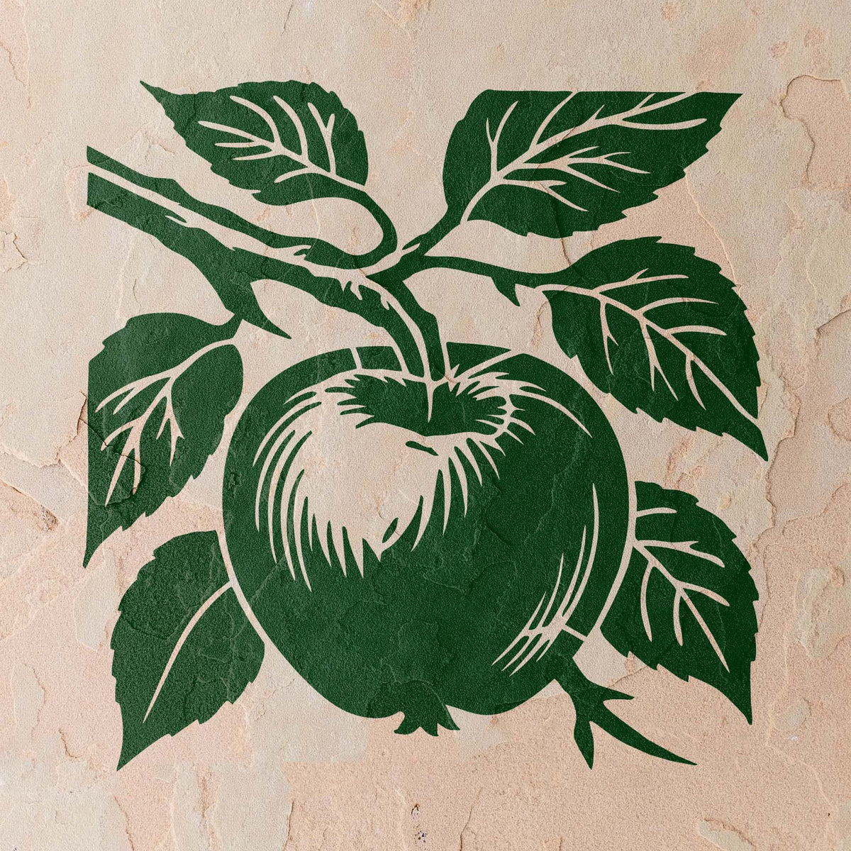 Painted on beige stucco, the Apple on Tree Branch Botanical Stencil features a ripe apple and veined leaves.