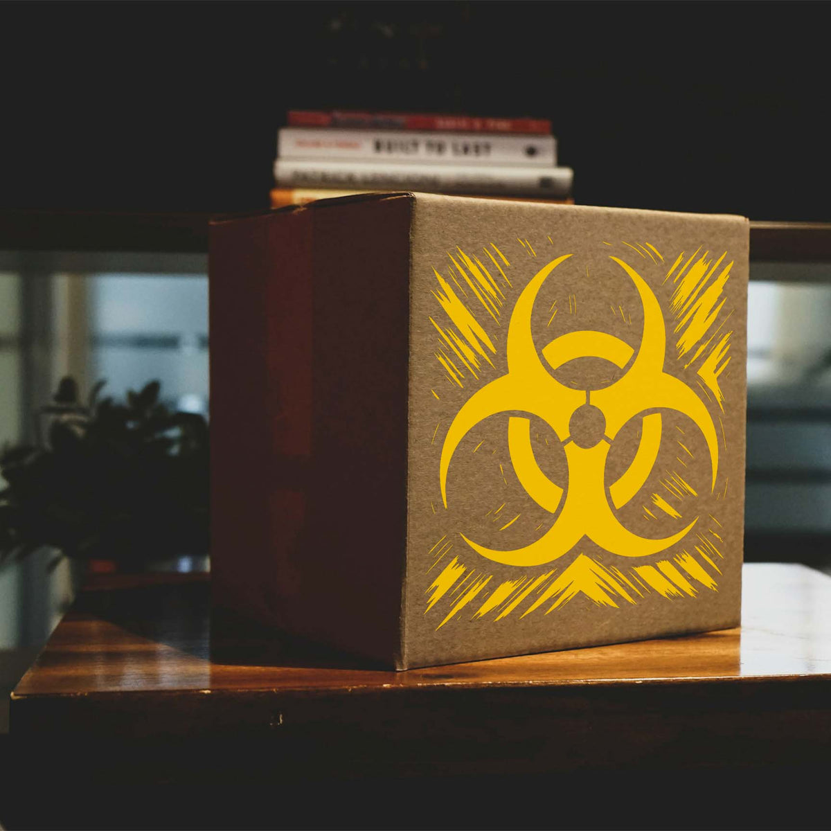 Yellow Biohazard Warning Symbol Stencil adds a bold hazard graphic to a cardboard box
