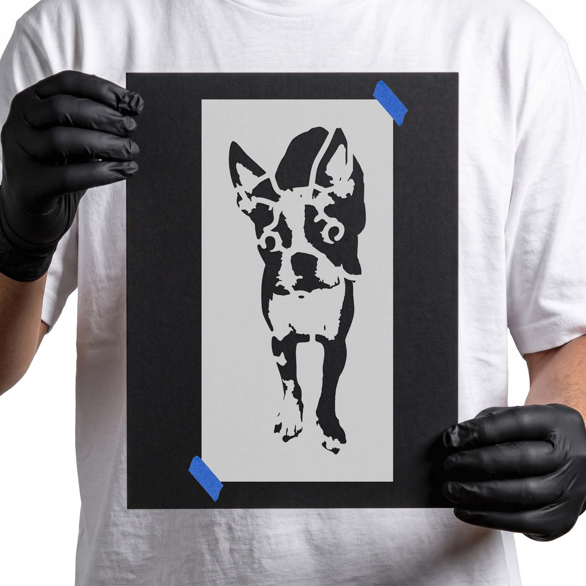 Boston Terrier Stencil with upright ears and detailed front-facing dog portrait