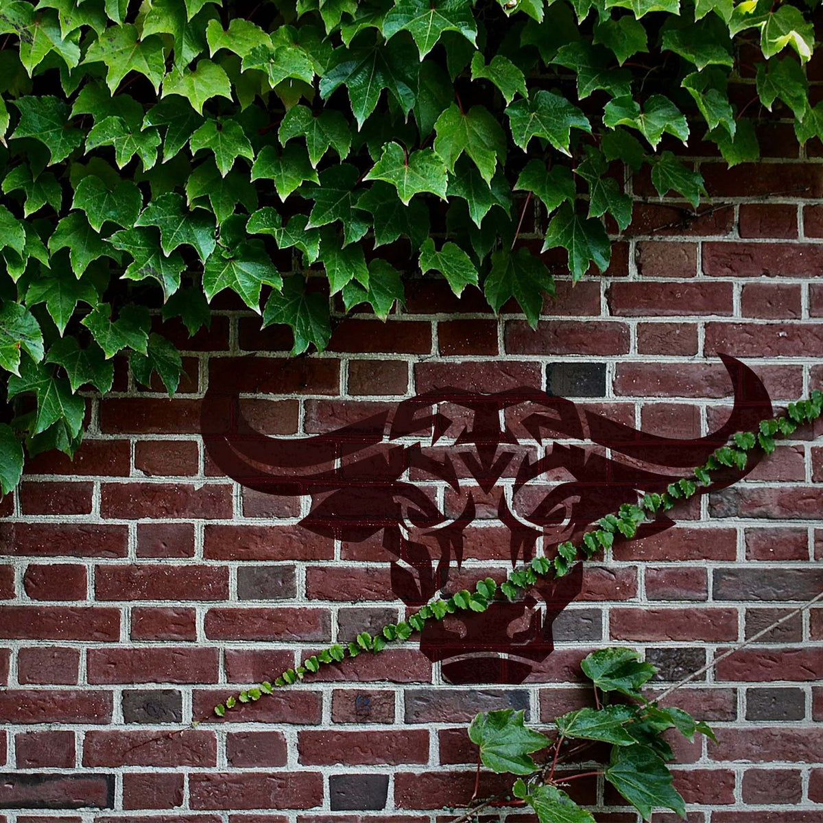Buffalo Head Stencil painted on a brick wall with ivy surrounding the bold horned design.