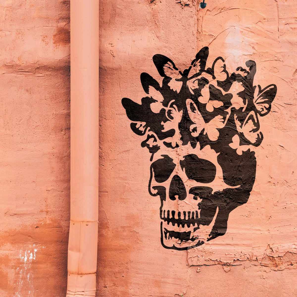 A textured wall displays the Butterfly Bloom Skull Stencil with butterflies rising above the skull